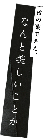 一枚の葉でさえ、なんと美しいことか