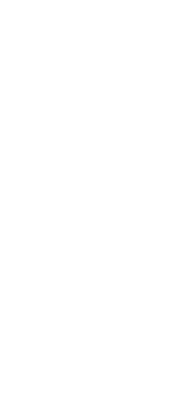 Gastronomy