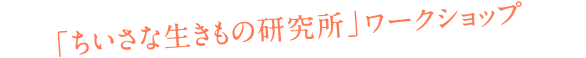 「ちいさな生きもの研究所」ワークショップ