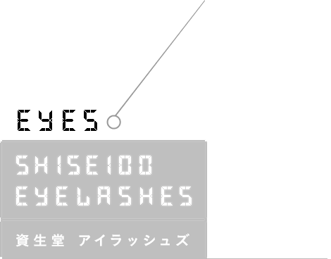 資生堂 アイラッシェズ SHISEIDO Eyelashes