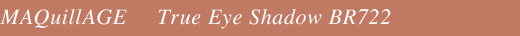 MAQuillAGE True Eye Shadow BR722