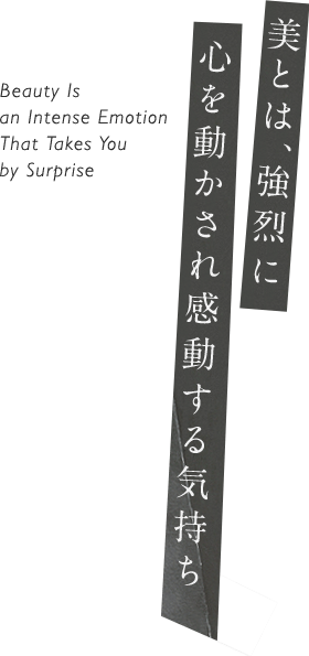 美とは、強烈に心を動かされ感動する気持ち Beauty Is an Intense Emotion That Takes You by Surprise