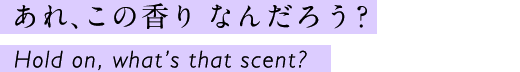 あれ、この香り なんだろう？ Hold on, what’s that scent?