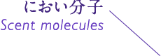 におい分子 Scent molecules