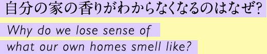 自分の家の香りがわからなくなるのはなぜ？ Why do we lose sense of what our own homes smell like?