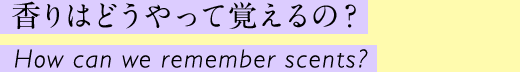 香りはどうやって覚えるの？ How can we remember scents?