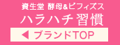 資生堂　酵母＆ビフィズス ハラハチ習慣 ブランドTOP