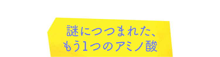 謎につつまれた、もう1つのアミノ酸