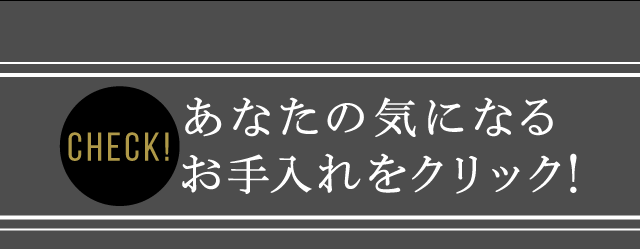 あなたの気になるお手入れをクリック！
