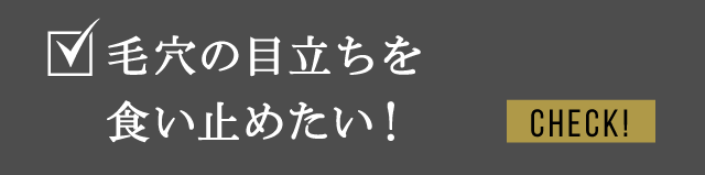毛穴の目立ちを食い止めたい！