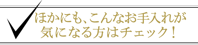 ほかにも、こんなお手入れが気になる方はチェック！
