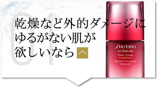 乾燥など外的ダメージにゆるがない肌が欲しいなら