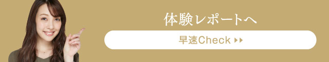 体験レポート