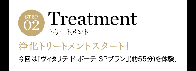 STEP2 トリートメント