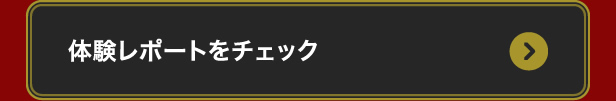 体験レポートをチェック