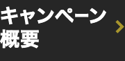 キャンペーン概要