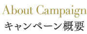 About Campaign キャンペーン概要