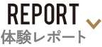 体験レポート