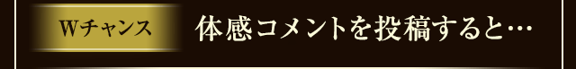 Wチャンス 体感コメントを投稿すると……