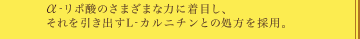 α-リポ酸のさまざまな力に着目し、それを引き出すL-カルニチンとの処方を採用。