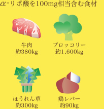 図：α-リポ酸を100mg相当含む食材