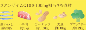 図：コエンザイムQ10を100mg相当含む食材