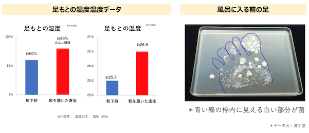 *データ元：資生堂