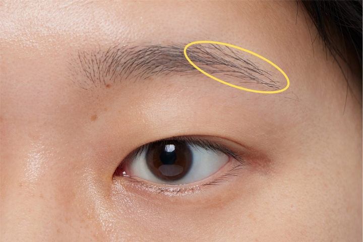 薄眉の整え方