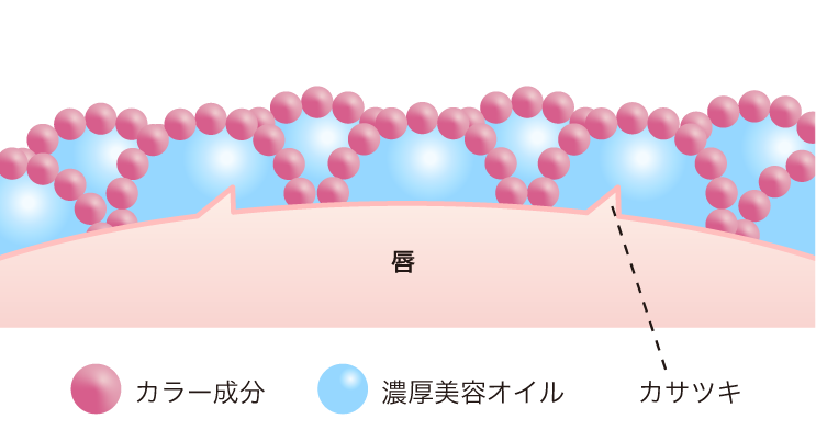 唇と口紅の拡大図。カラーが唇に密着する秘訣。