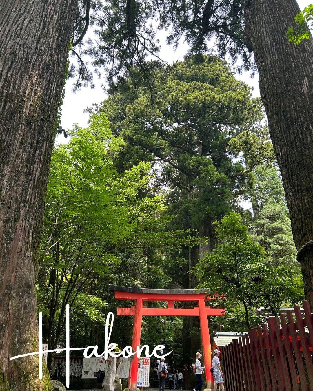 箱根旅行の写真