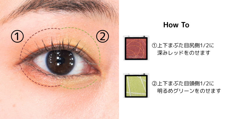 アイシャドウの塗り方