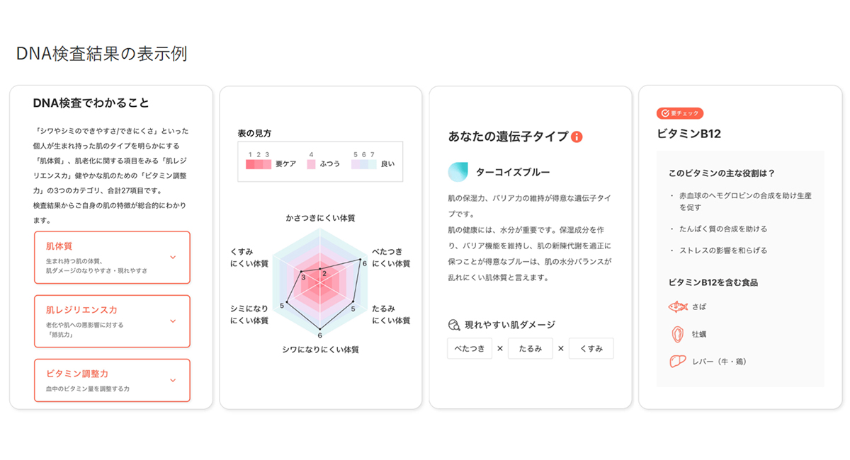DNA検査結果の表示例