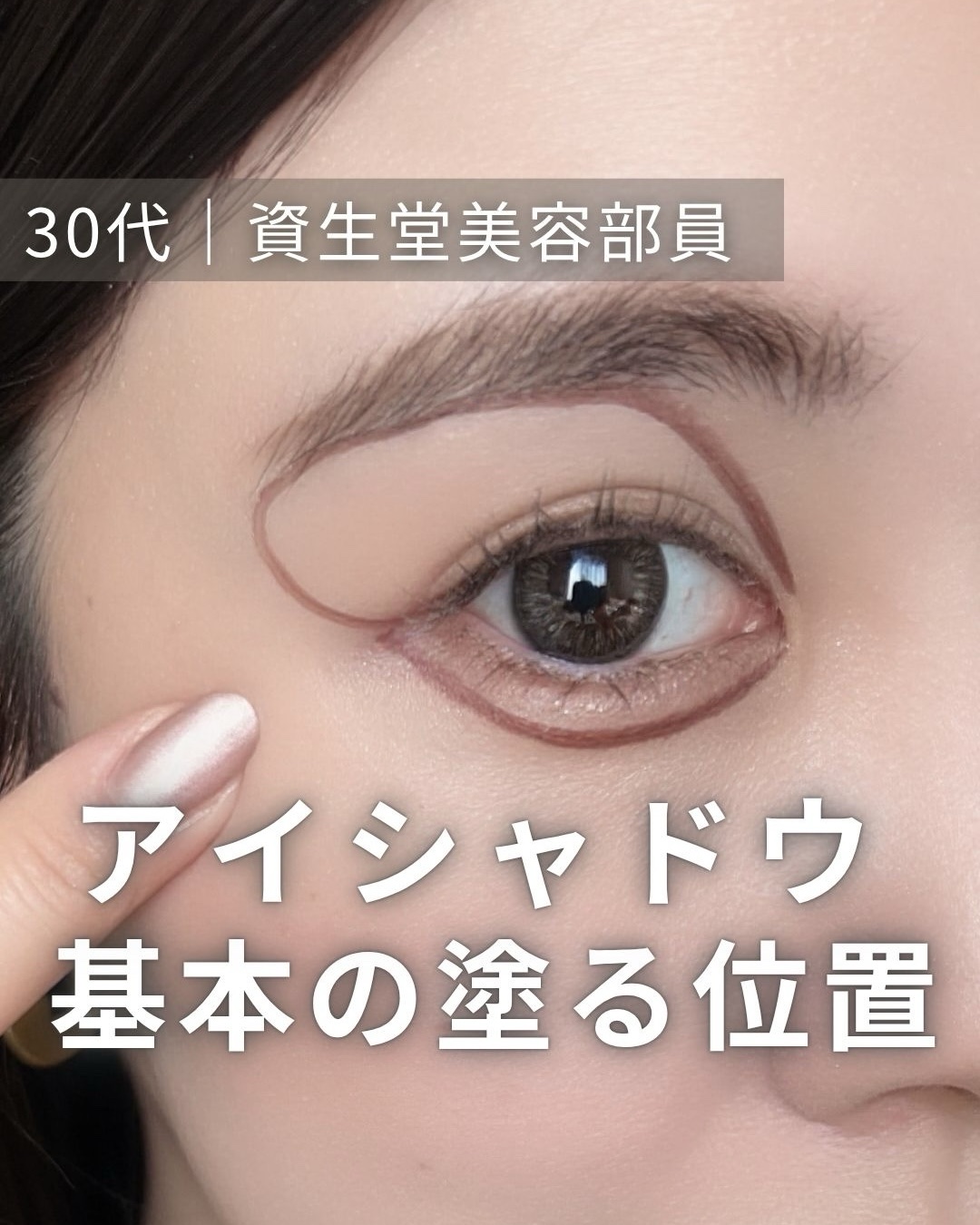 ピックアップ画像