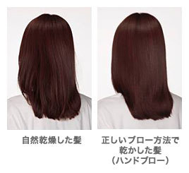 キレイな髪になりたい それなら知っておきたい ヘアケア の基本 美容の情報 ワタシプラス 資生堂