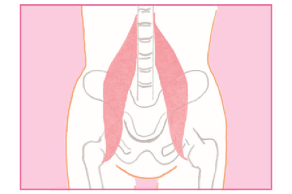 180502_psoas-major_02.jpg