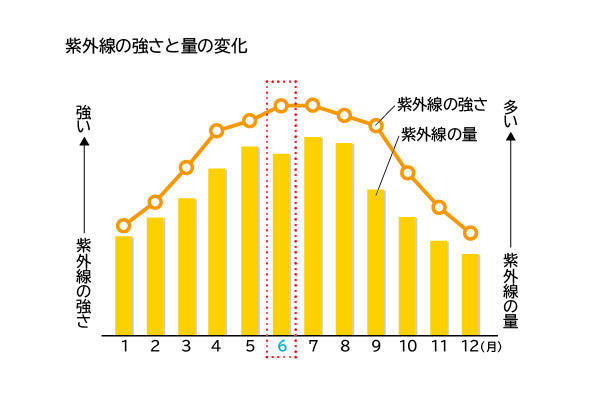 6月の紫外線の強さと量のグラフ