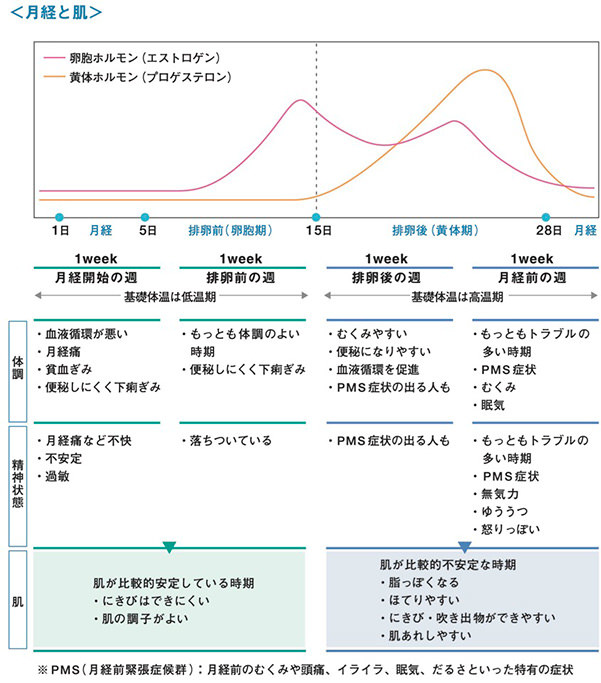 排卵後何日で生理 排卵は生理の何日後にくるのか。月経周期から排卵日を把握しよう