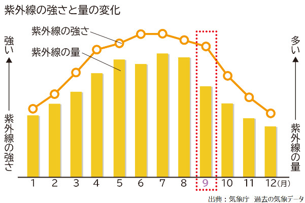 9月の肌 キレイなひとは知っている 紫外線をたっぷり浴びた残暑の肌ケアって 美容の情報 ワタシプラス 資生堂