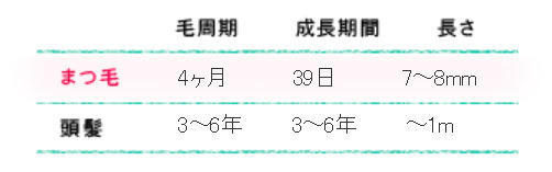 まつ毛のメカニズム知ってる？