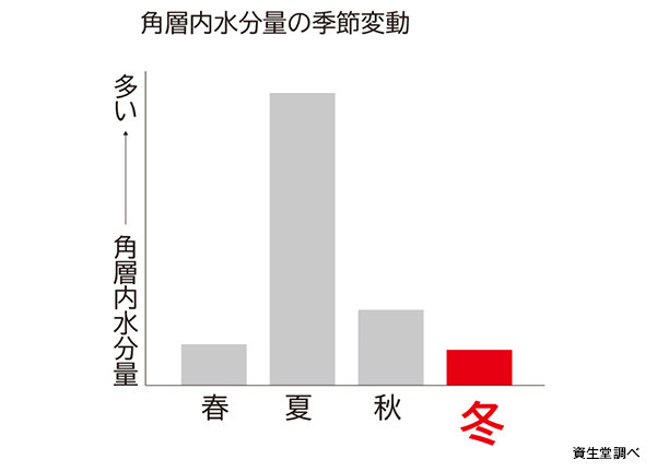 12月の肌にこんなこと感じませんか？