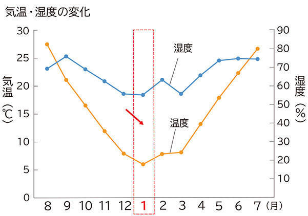 1月の肌環境とは？