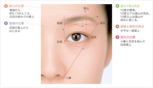 剃らなくてok 誰でも垢抜けるナチュラルな 細い眉毛 のつくり方 美容の情報 ワタシプラス 資生堂