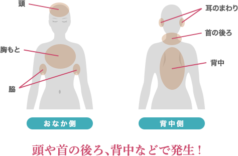 知って なるほど化粧品 どう防ぐ 加齢臭対策 美容の情報 ワタシプラス 資生堂