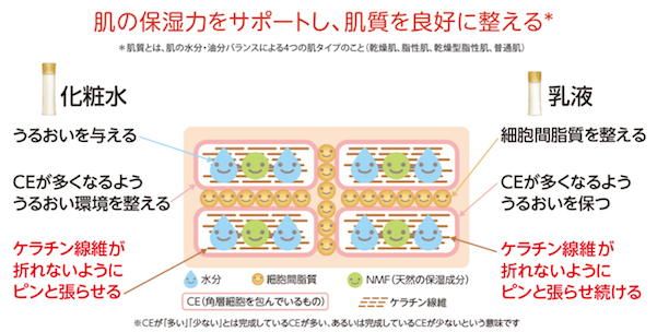 化粧水＆乳液を塗った肌の状態