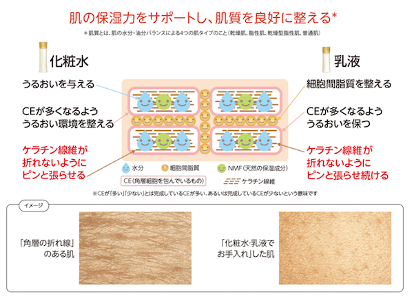 化粧水＆乳液を塗った肌の状態