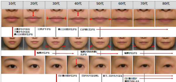 顔のパーツの変化