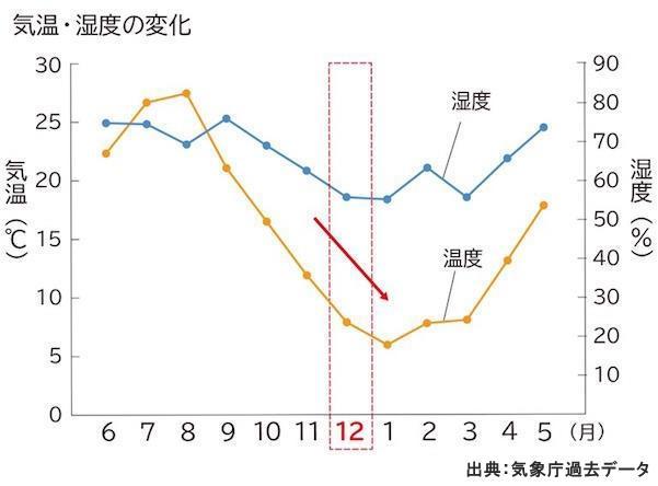 12月の肌環境って？