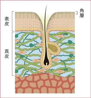 【原因①　加齢】毛穴のたるみが気になる肌の状態とは？