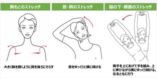 上半身のストレッチ