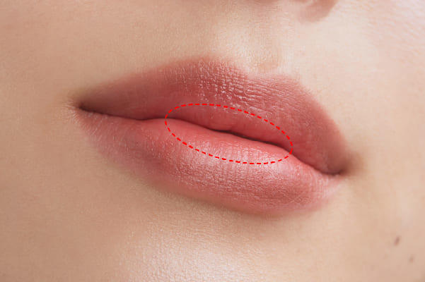【BROWS】毛並みを際立たせた軽やかな眉に